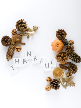 gratitude and thankful