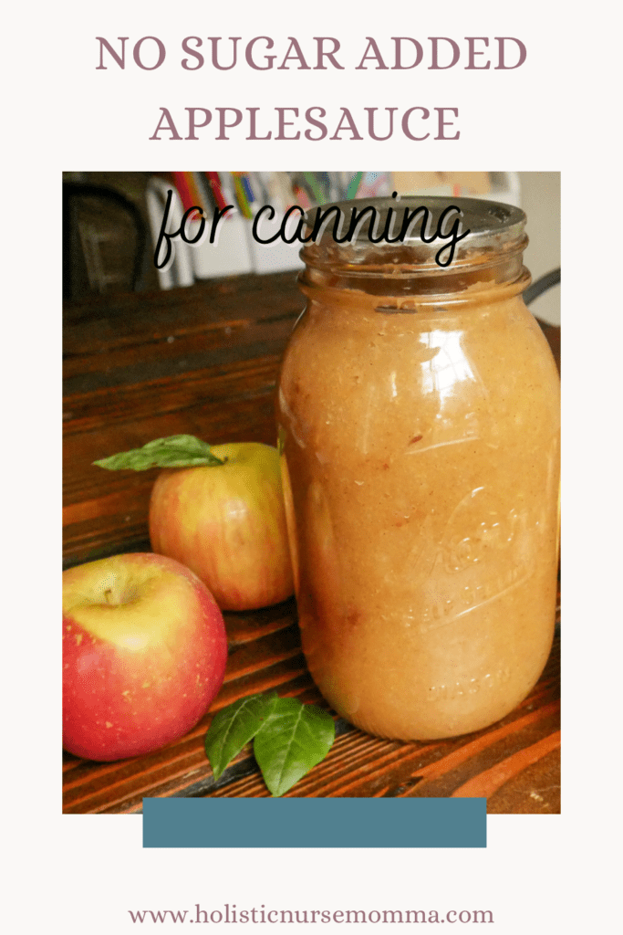 Easy Applesauce Recipe - Holistic Nurse Momma