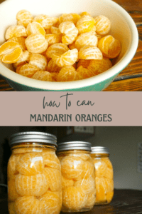 canned oranges in mason jars; peeled mandarin oranges in a bowl