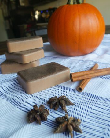pumpkin soap with cinnamon sticks and pumpkin