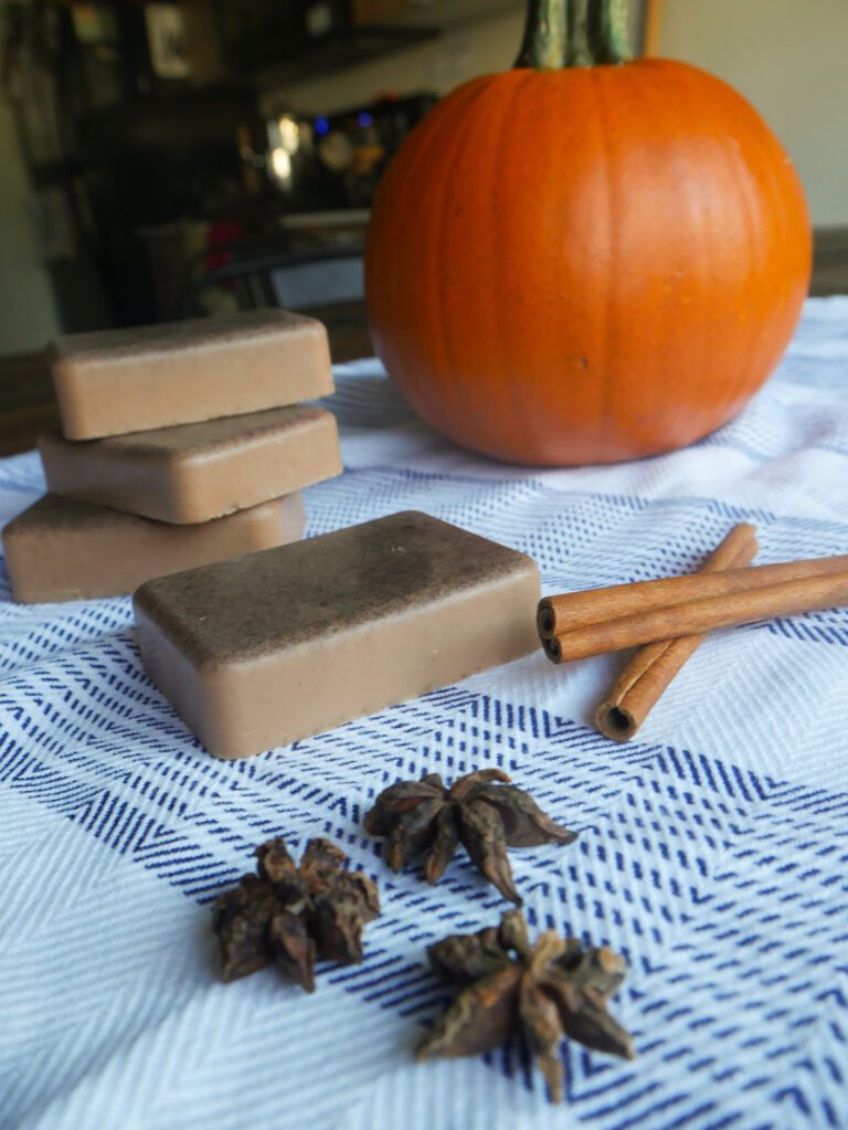 pumpkin soap with cinnamon sticks and pumpkin