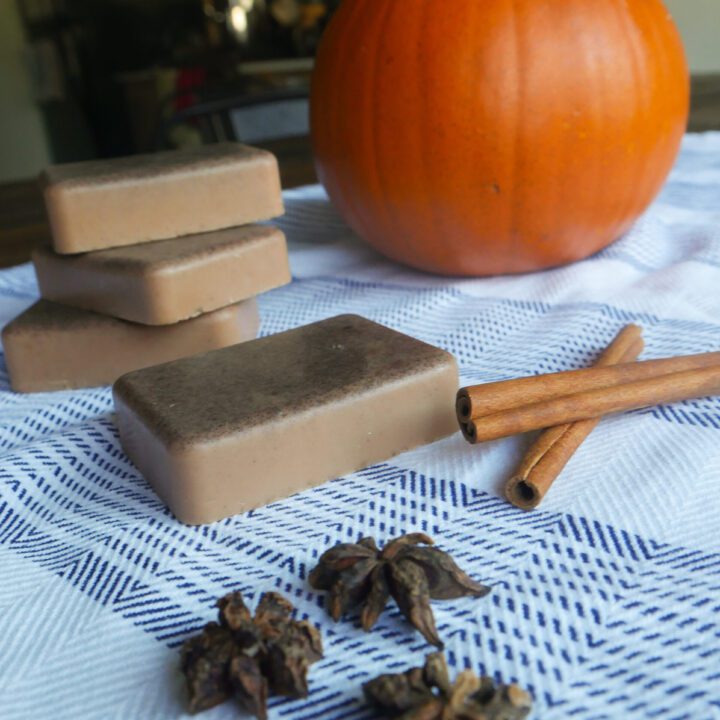 pumpkin soap with cinnamon sticks and pumpkin