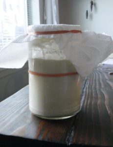 active sourdough starter before and after a feed