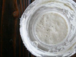 bubbly, active sourdough starter in glass jar