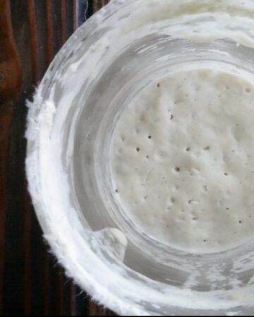 bubbly, active sourdough starter in glass jar