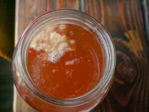 SCOBY forming at top of kombucha tea