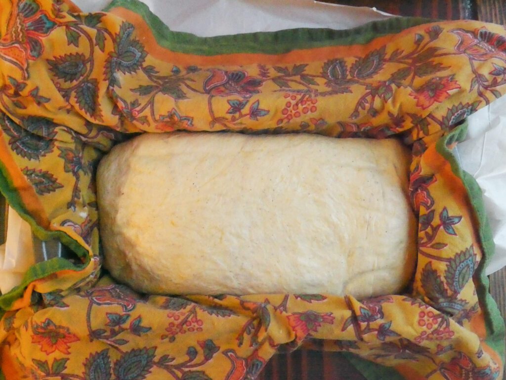 unbaked pumpkin sourdough bread dough