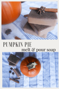 pumpkin pie soap graphic