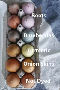 photo with naturally dyed easter eggs labelled beets, blueberries, turmeric, and onion skins