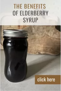 The benefits of elderberry syrup above a mason jar with homemade elderberry syrup