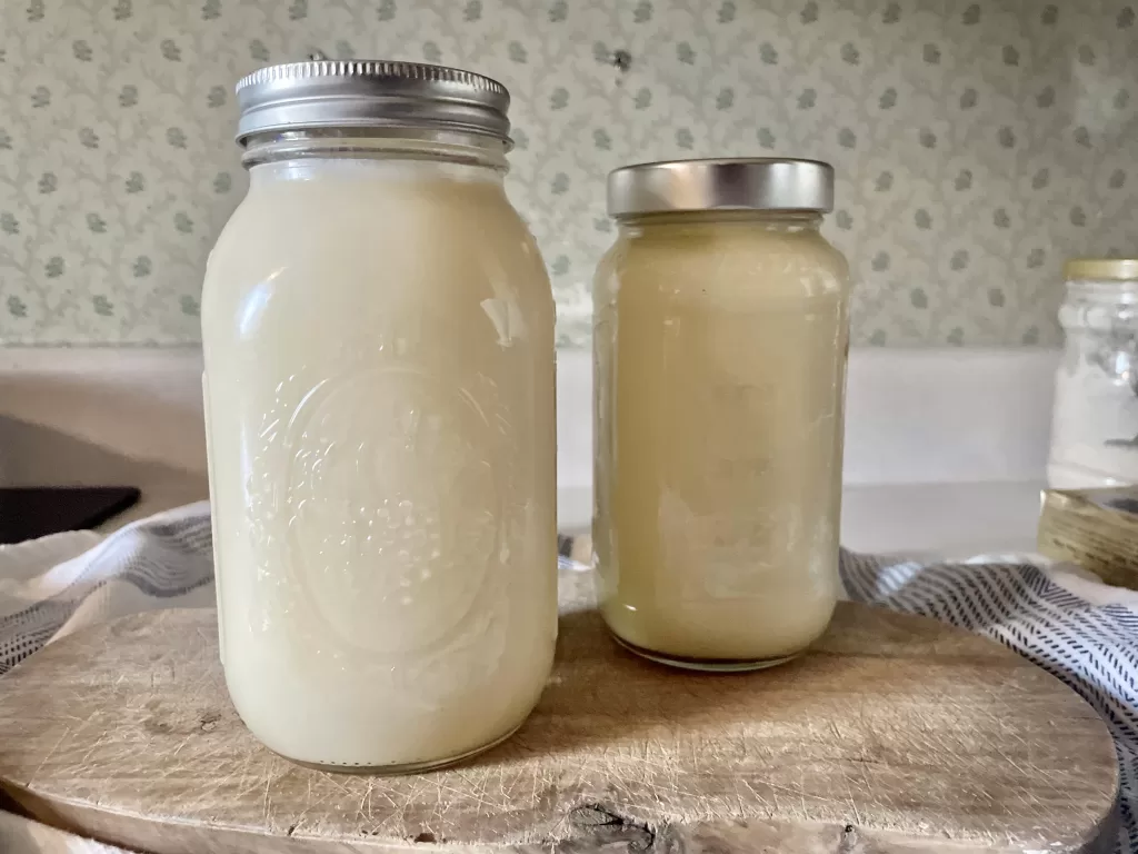 solidified beef tallow in jars