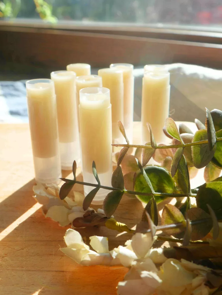 diy tallow lip balms sitting on wooden block next to flowers and leaves