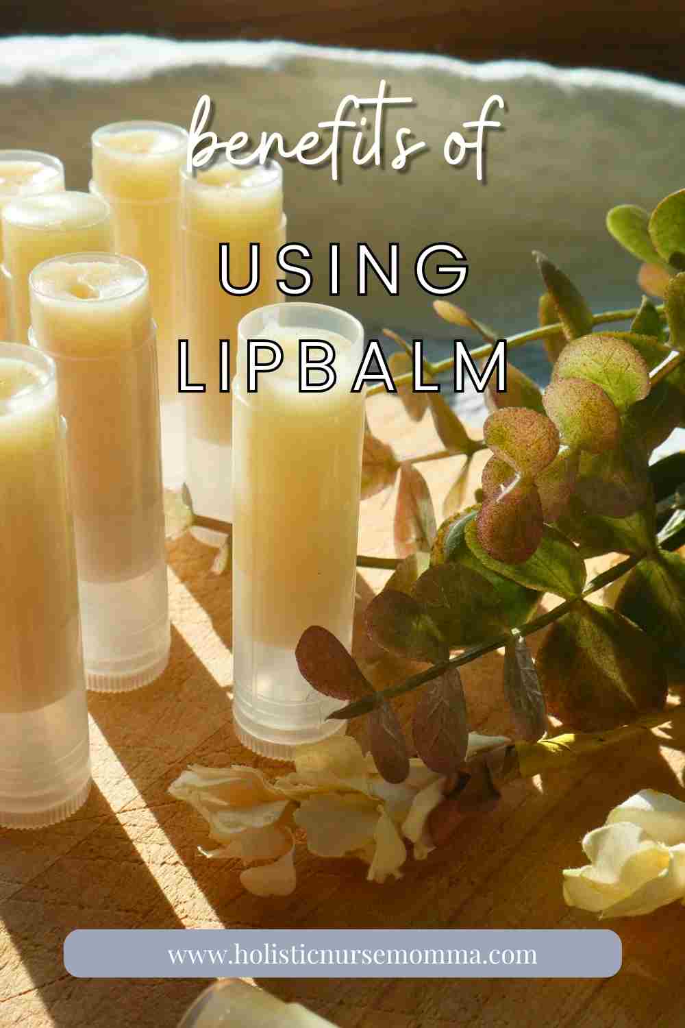 Why your lips need lip balm (+ tallow lip balm recipe) Holistic Nurse Momma