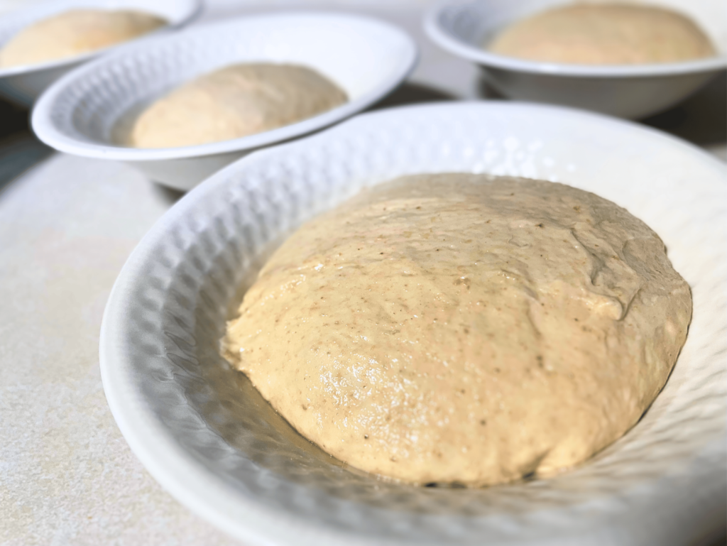 sourdough bread bowl dough in white ceramic bowls
