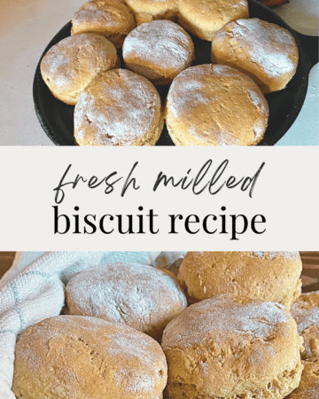 fully baked fresh milled flour biscuits on a cast iron pan