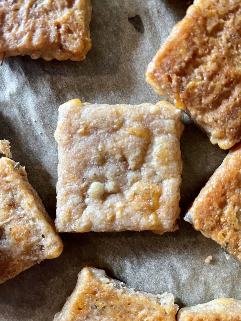 single sourdough discard cracker made with cheese and freshly milled flour on parchment paper