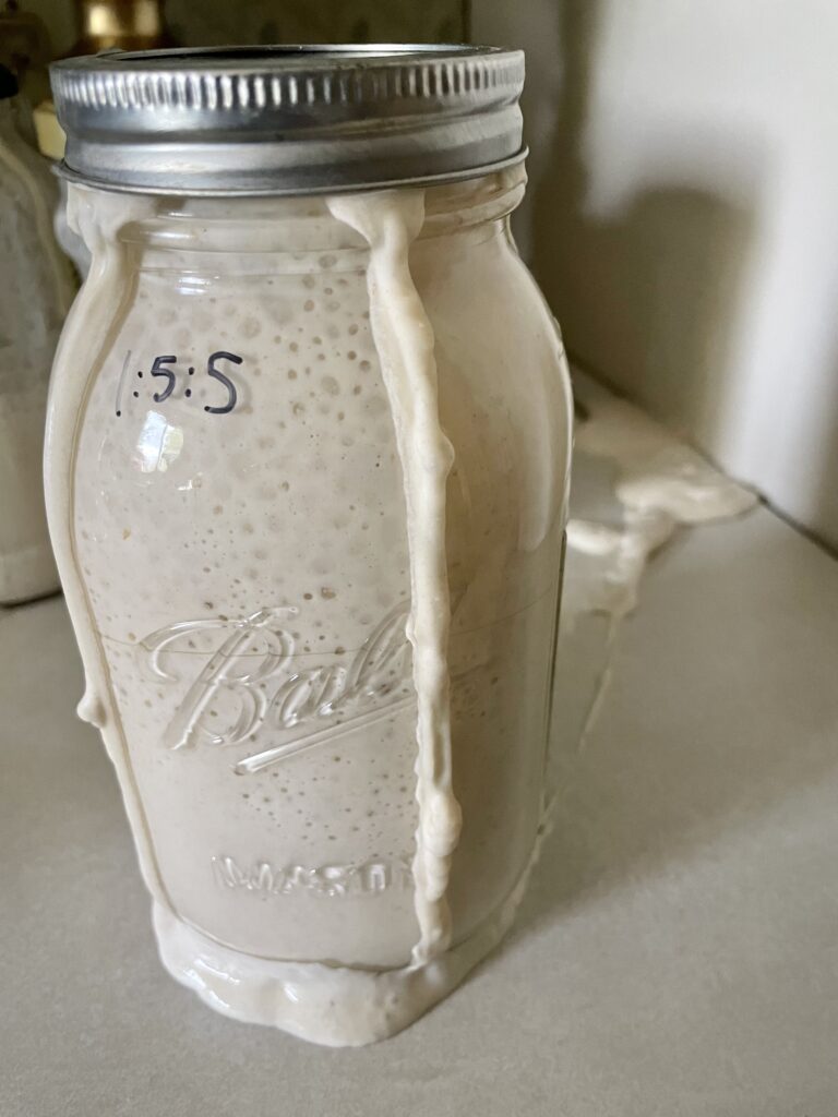 mason jar with overflowing sourdough starter