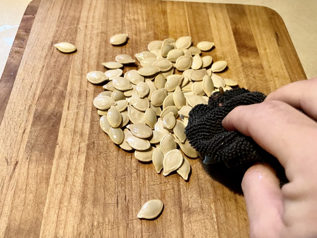 hand with towel blotting dry pumpkin seeds for roasting