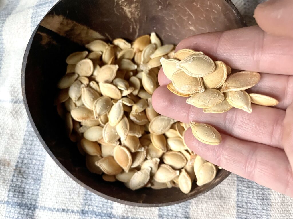 hand holding roasted pumpkin seeds without oil