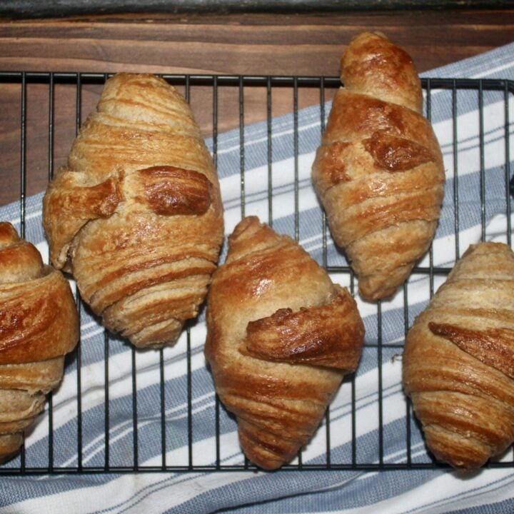 freshly baked homemade fresh milled flour sourdough croissants on a wire rack