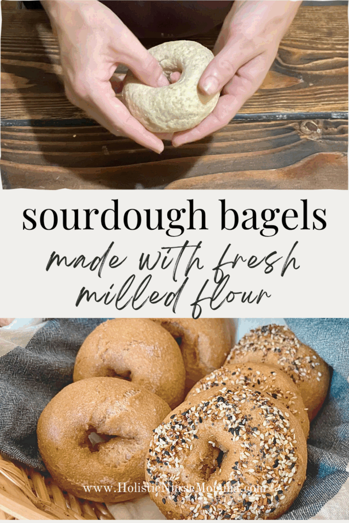 an unbaked sourdough bagel being held on top and baked fresh milled flour bagels in basket on bottom